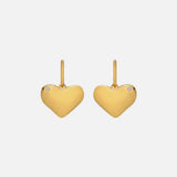 HD X JJ Desire Hook Earrings  - YGP Hot Diamonds