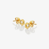HD X JJ Hexagon White Topaz Earrings Hot Diamonds