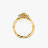 "Veltrixa" Yellow 1 Carat Oval Cut Trilogy Lab Grown Diamond Engagement Ring HLR419