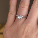 "Grace" 1 carat Round Brilliant Cut Diamond Double Row Diamond Pave Engagement Ring DSRB40